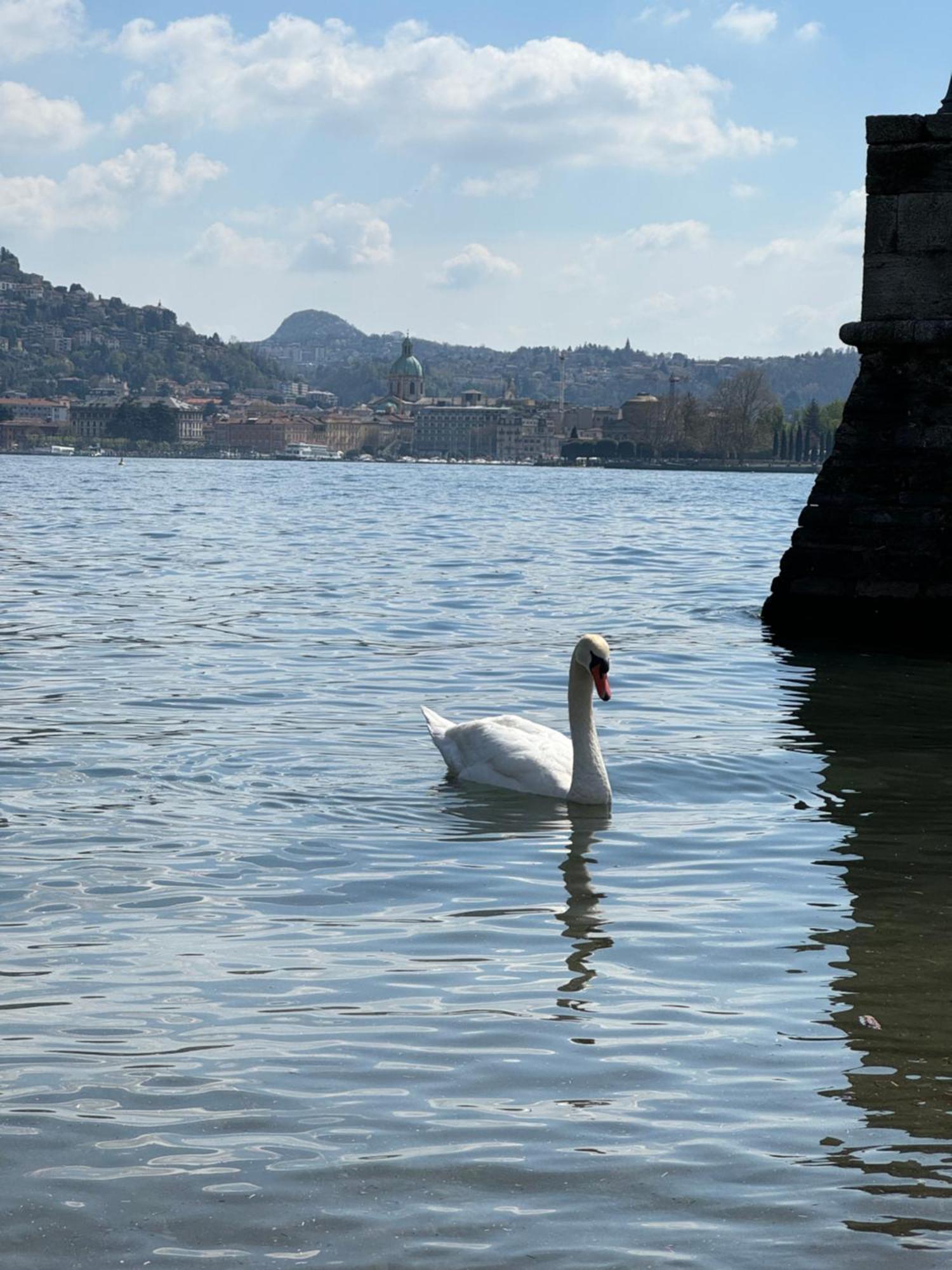 Portatorre Suite, A Charming Apartment In The Heart Of Como, Free Private Parking, Air Conditioning & More! エクステリア 写真